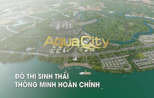 Lợi ích khi mua căn hộ Aqua City được gì?